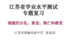 細(xì)胞的分化_衰老、凋亡和癌變課件