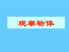 人教版数学二年级上册 观察物体 课件