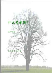 什么是爱情