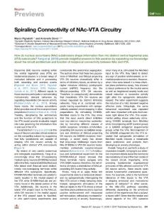 Spiraling-Connectivity-of-NAc-VTA-Circuitry_2018_Neuron