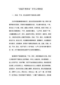 “忠誠干凈擔當”學習心得體會.doc