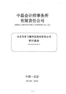 同有科技：審計報告.pdf