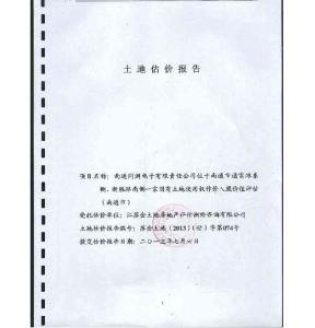 同洲電子：土地評估報告.pdf