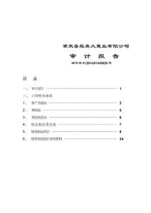 重慶魯能英大置業(yè)有限公司2019年度財務(wù)報告和審計報告.pdf