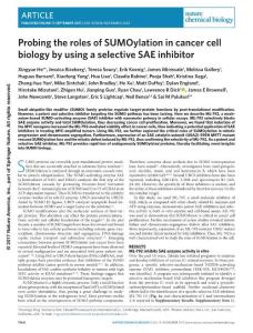 nchembio.2463-Probing the roles of SUMOylation in cancer cell biology by using a selective SAE inhibitor