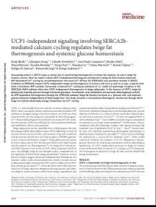 nm.4429-UCP1-independent signaling involving SERCA2b-mediated calcium cycling regulates beige fat thermogenesis and systemic glucose homeostasis