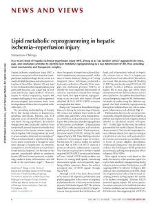 nm.4468-Lipid metabolic reprogramming in hepatic ischemia–reperfusion injury