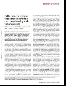 nmeth.4579-EVIR- chimeric receptors that enhance dendritic cell cross-dressing with tumor antigens