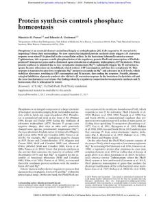 Genes Dev.-2018-Pontes-Protein synthesis controls phosphate homeostasis