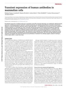 nprot.2017.126-Transient expression of human antibodies in mammalian cells