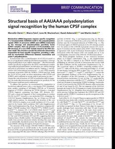 nsmb-2018-Structural basis of AAUAAA polyadenylation signal recognition by the human CPSF complex