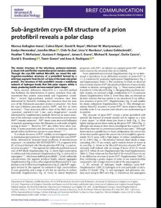nsmb-2018-Sub-ångström cryo-EM structure of a prion protofibril reveals a polar clasp