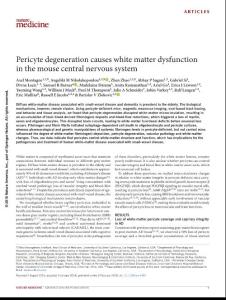 nm.4482-Pericyte degeneration causes white matter dysfunction in the mouse central nervous system