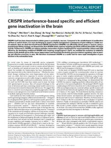 nn2018-CRISPR interference-based specific and efficient gene inactivation in the brain