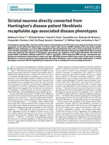 nn2018-Striatal neurons directly converted from Huntington’s disease patient fibroblasts recapitulate age-associated disease phenotypes