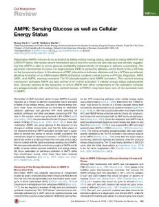 AMPK--Sensing-Glucose-as-well-as-Cellular-Energy-Status_2018_Cell-Metabolism