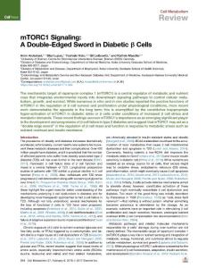 mTORC1-Signaling--A-Double-Edged-Sword-in-Diabetic---Cel_2018_Cell-Metabolis
