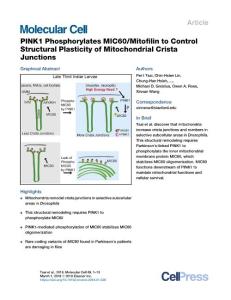 PINK1-Phosphorylates-MIC60-Mitofilin-to-Control-Structural-Pla_2018_Molecula