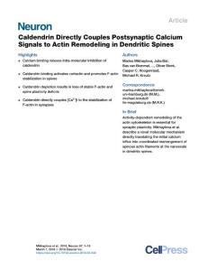 Caldendrin-Directly-Couples-Postsynaptic-Calcium-Signals-to-Actin-_2018_Neur