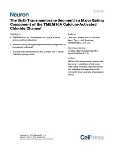 The-Sixth-Transmembrane-Segment-Is-a-Major-Gating-Component-of-the-_2018_Neu