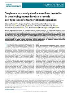 nn.2018-Single-nucleus analysis of accessible chromatin in developing mouse forebrain reveals cell-type-specific transcriptional regulation