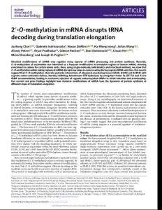 nsmb2018-2′-O-methylation in mRNA disrupts tRNA decoding during translation elongation