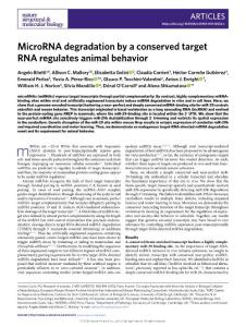 nsmb.2018-MicroRNA degradation by a conserved target RNA regulates animal behavior
