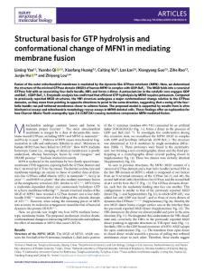 nsmb.2018-Structural basis for GTP hydrolysis and conformational change of MFN1 in mediating membrane fusion