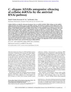 Genes Dev.-2018-Reich-C. elegans ADARs antagonize silencing of cellular dsRNAs by the antiviral RNAi pathway
