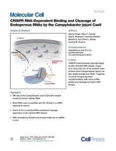 CRISPR-RNA-Dependent-Binding-and-Cleavage-of-Endogenous-RNAs-_2018_Molecular
