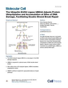 The-Ubiquitin-E3-E4-Ligase-UBE4A-Adjusts-Protein-Ubiquitylation-_2018_Molecu