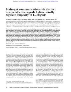 Genes Dev.-2018-Zhang-258-70-Brain–gut communications via distinct neuroendocrine signals bidirectionally regulate longevity in C. elegans