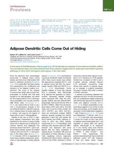 Adipose-Dendritic-Cells-Come-Out-of-Hiding_2018_Cell-Metabolism