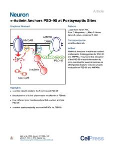 --Actinin-Anchors-PSD-95-at-Postsynaptic-Sites_2018_Neuron