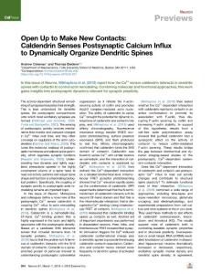 Open-Up-to-Make-New-Contacts--Caldendrin-Senses-Postsynaptic-Calciu_2018_Neu