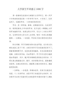 大学新生军训感言1000字