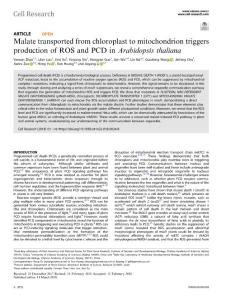 cr.2018-Malate transported from chloroplast to mitochondrion triggers production of ROS and PCD in Arabidopsis thaliana