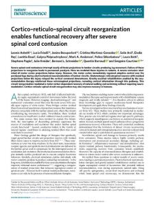nn.2018-Cortico–reticulo–spinal circuit reorganization enables functional recovery after severe spinal cord contusion