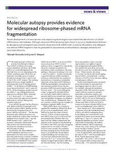 nsmb.2018-Molecular autopsy provides evidence for widespread ribosome-phased mRNA fragmentation