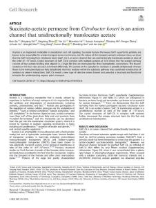 cr.2018-Succinate-acetate permease from Citrobacter koseri is an anion channel that unidirectionally translocates acetate