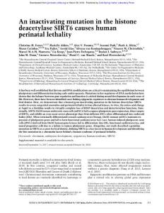 Genes Dev.-2018-Ferrer-373-88-An inactivating mutation in the histone deacetylase SIRT6 causes human perinatal lethality