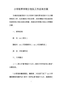 小學(xué)秋季學(xué)期少先隊工作總體方案017