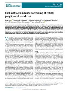 nn.2018-Tbr1 instructs laminar patterning of retinal ganglion cell dendrites