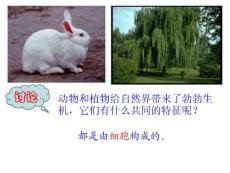 細(xì)胞的結(jié)構(gòu)與功能.ppt