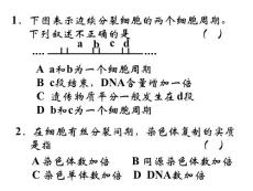 高一生物細(xì)胞增殖3.ppt