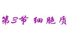 高一生物細(xì)胞質(zhì)2.ppt