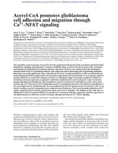 Genes Dev.-2018-Lee-Acetyl-CoA promotes glioblastoma cell adhesion and migration through Ca2+–NFAT signaling