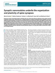 nn.2018-Synaptic nanomodules underlie the organization and plasticity of spine synapses