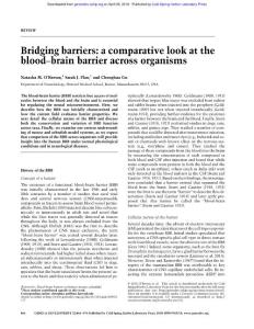 Genes Dev.-2018-O´Brown-466-78-Bridging barriers a comparative look at the blood–brain barrier across organisms