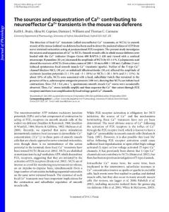 the sources and sequestration of ca2  contributing to neuroeffector ca2  transients in the mouse vas deferens（ca2对小鼠输精管神经效应ca2瞬变的来源和螯合作用）